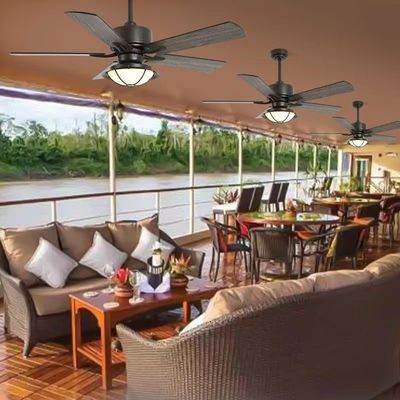 Ventilatore a soffitto impermeabile con ventilatori a prova di tempo leggeri