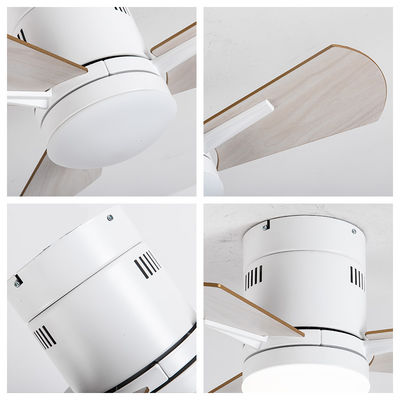 Ventilatori di soffitto bianchi da 24 pollici con legno compensato acrilico chiaro
