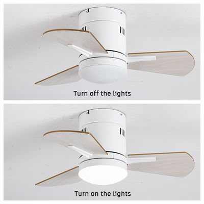 Ventilatori di soffitto bianchi da 24 pollici con legno compensato acrilico chiaro