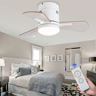 Ventilatori di soffitto bianchi da 24 pollici con legno compensato acrilico chiaro