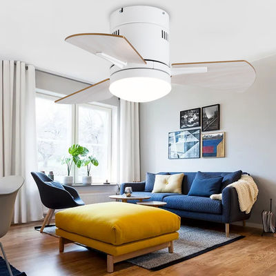 Ventilatori di soffitto bianchi da 24 pollici con legno compensato acrilico chiaro