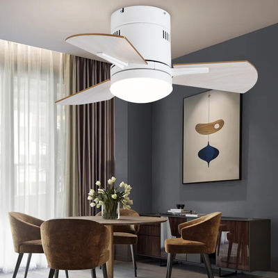 Ventilatori di soffitto bianchi da 24 pollici con legno compensato acrilico chiaro